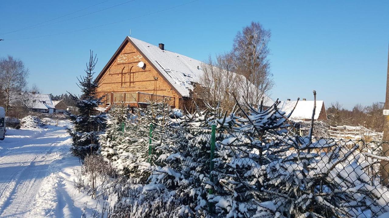 Ferienwohnung Dziewanna Brzeziniec Exterior foto